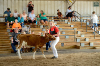 Friday Dairy Show and Sale